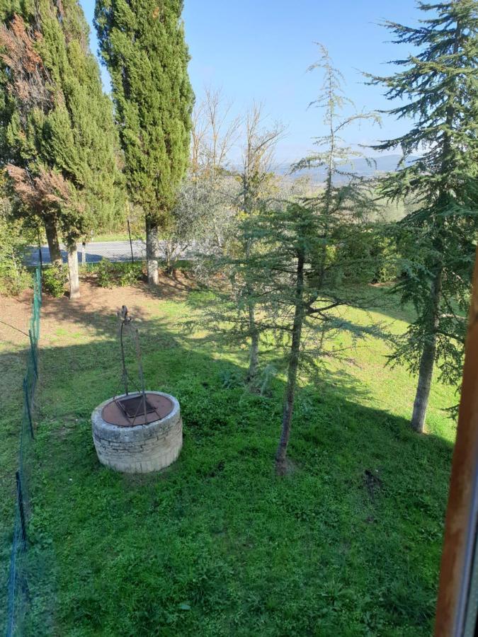 Podere Il Poggio アッシャーノ エクステリア 写真