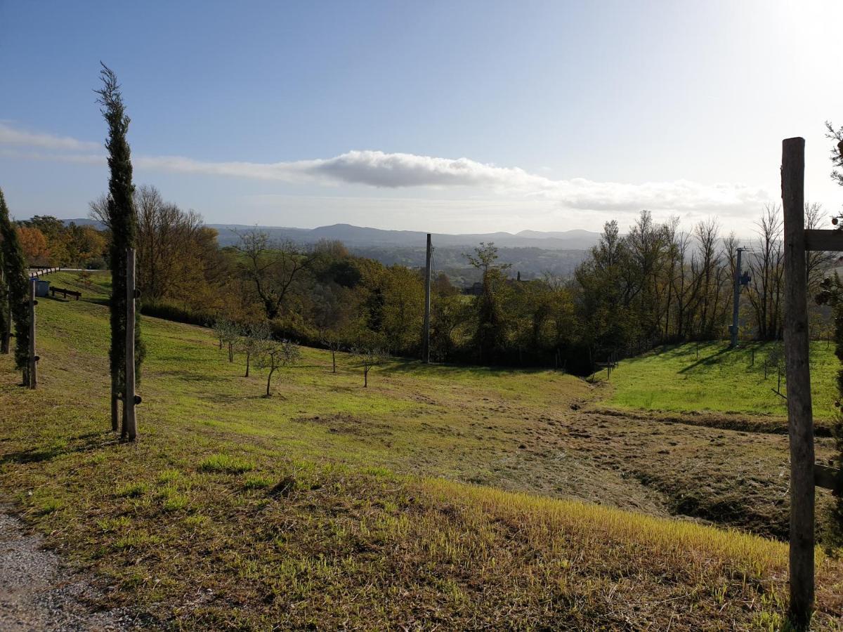 Podere Il Poggio アッシャーノ エクステリア 写真